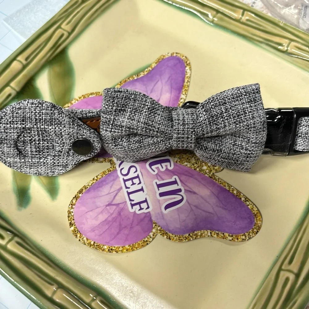 AirTag Dog Collar, Dog Collar for Medium Dogs with Air Tag Holder Case - Picture 7 of 8